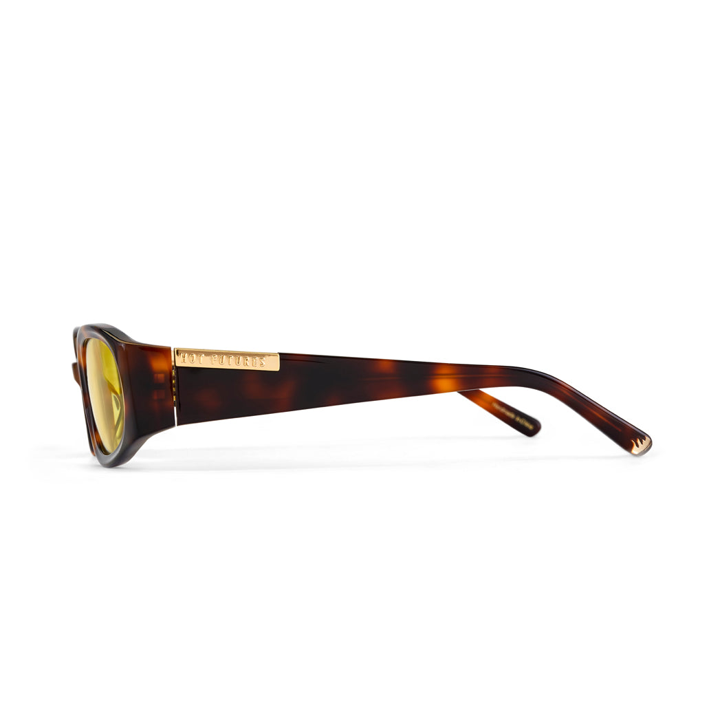 Sunglasses with tortoiseshell frame and gold accents on a white background