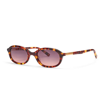 Cupid Brown Tortoiseshell Sunglasses with Darker lenses and the gold Hot Futures branding to the arms