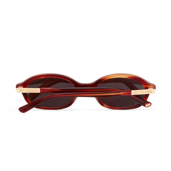 back shot of cupid caramel tortoiseshell brown sunglasses folded against a white background