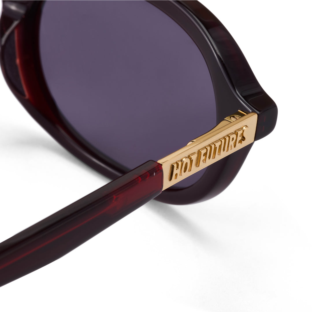 Sunglasses with gold branding on the frame and dark lenses on a white background