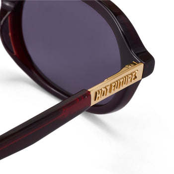 Sunglasses with gold branding on the frame and dark lenses on a white background