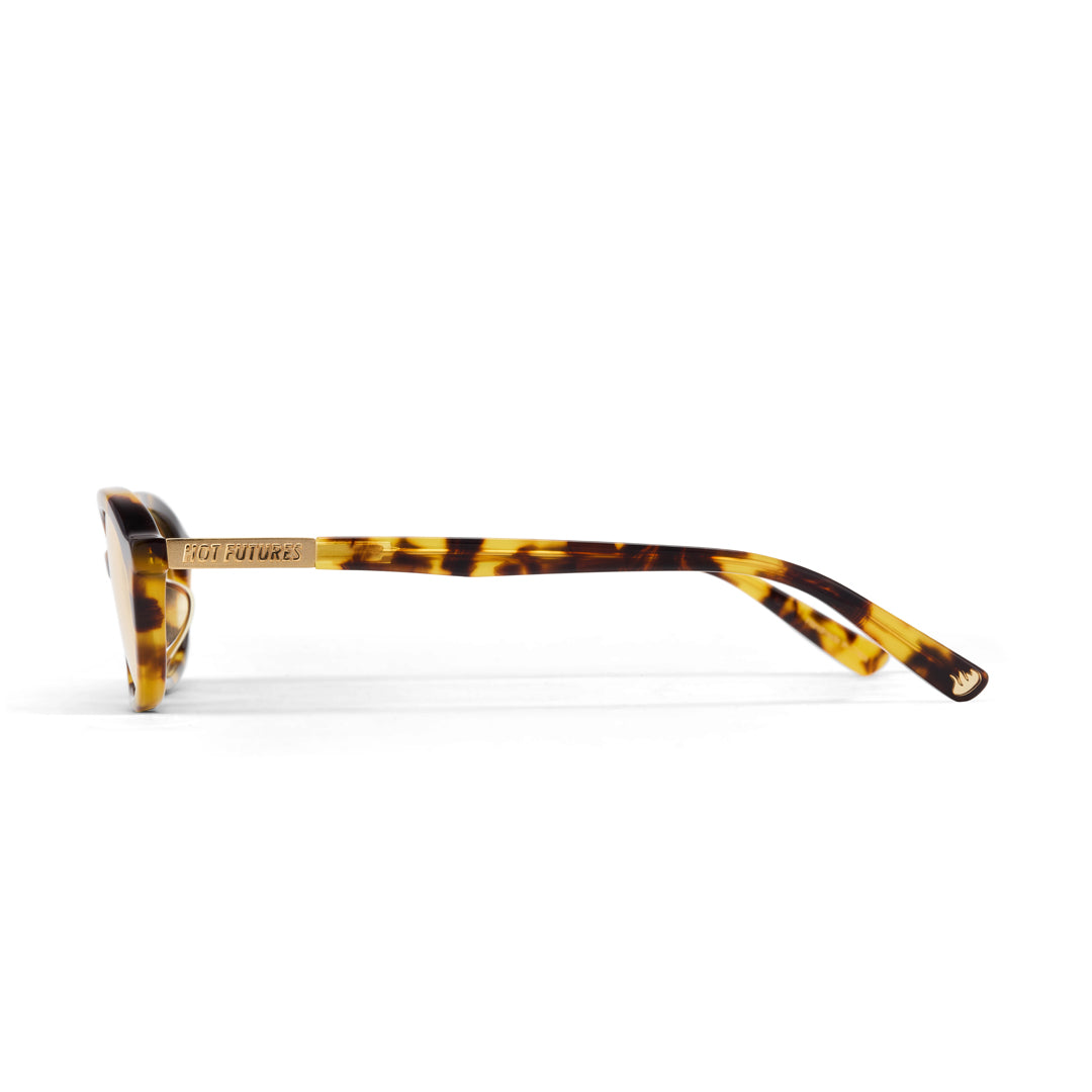 Tortoiseshell sunglasses on a white background
