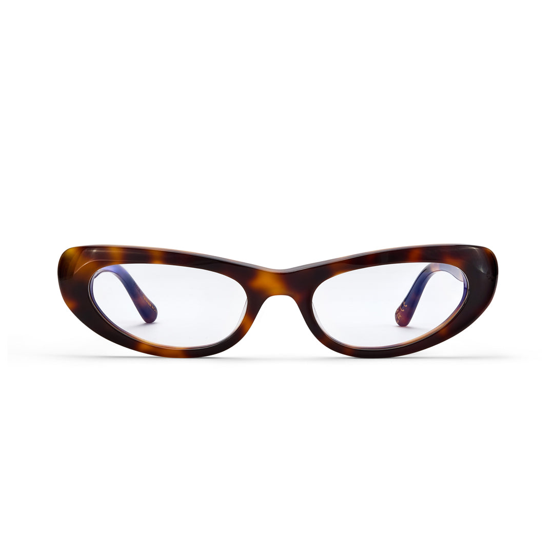 Tortoiseshell eyeglasses on a white background