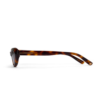 Sunglasses with tortoiseshell frame on a white background