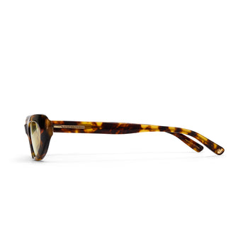 Sunglasses with tortoiseshell frame on a white background