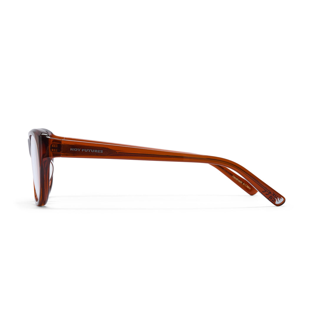 Brown eyeglasses on a white background