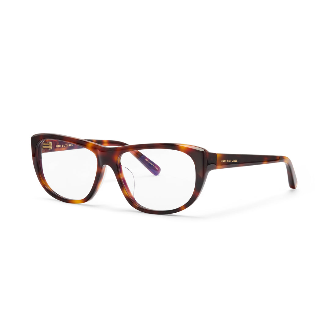 Tortoiseshell eyeglasses on a white background