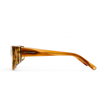 Sunglasses with tortoiseshell frame on a white background